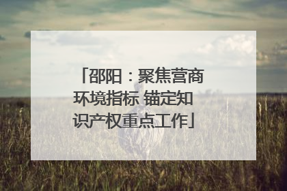 邵阳：聚焦营商环境指标 锚定知识产权重点工作