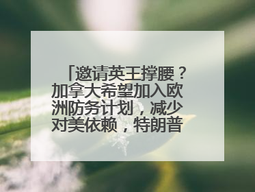 邀请英王撑腰？加拿大希望加入欧洲防务计划，减少对美依赖，特朗普：成为美国第51个州，免费用“金穹”