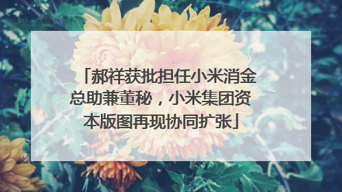 郝祥获批担任小米消金总助兼董秘，小米集团资本版图再现协同扩张