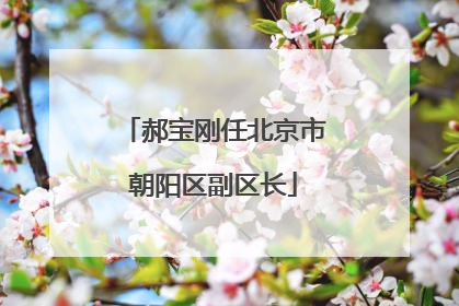 郝宝刚任北京市朝阳区副区长