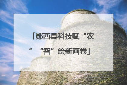 郧西县科技赋“农”“智”绘新画卷