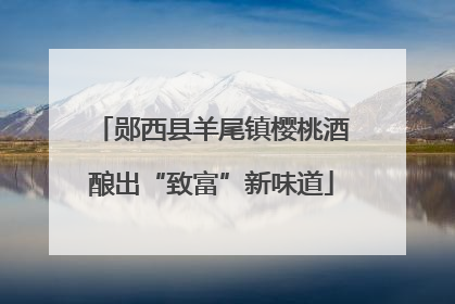 郧西县羊尾镇樱桃酒酿出“致富”新味道