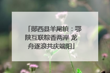 郧西县羊尾镇：鄂陕互联粽香两岸 龙舟逐浪共庆端阳