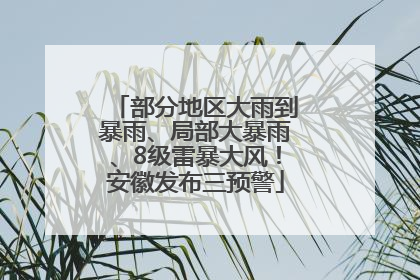 部分地区大雨到暴雨、局部大暴雨、8级雷暴大风！安徽发布三预警