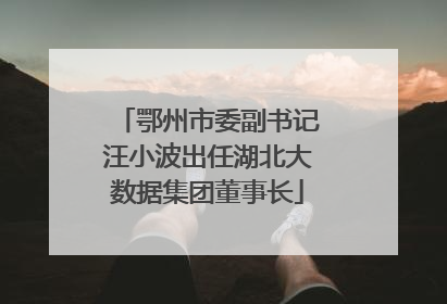 鄂州市委副书记汪小波出任湖北大数据集团董事长
