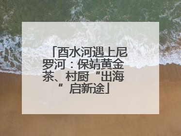 酉水河遇上尼罗河：保靖黄金茶、村厨“出海”启新途