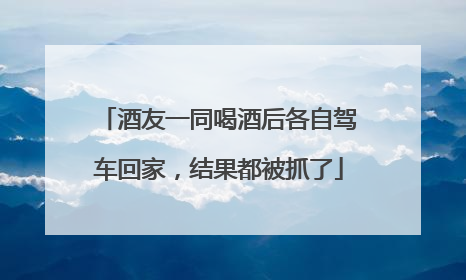 酒友一同喝酒后各自驾车回家，结果都被抓了