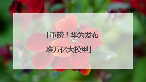 重磅！华为发布准万亿大模型
