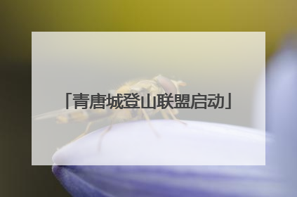 青唐城登山联盟启动