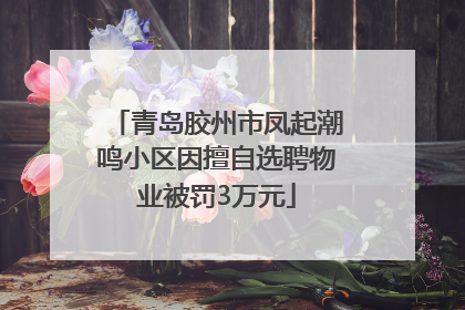青岛胶州市凤起潮鸣小区因擅自选聘物业被罚3万元