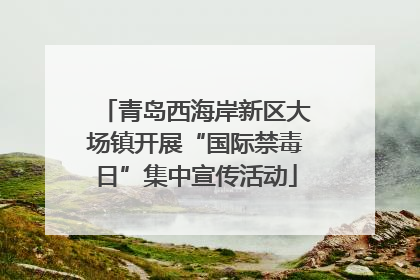 青岛西海岸新区大场镇开展“国际禁毒日”集中宣传活动