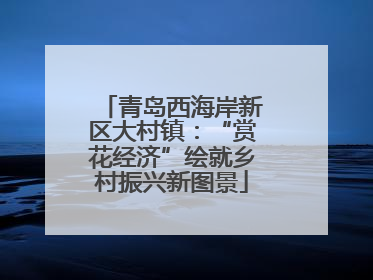青岛西海岸新区大村镇：“赏花经济”绘就乡村振兴新图景