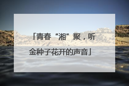 青春“湘”聚，听金种子花开的声音