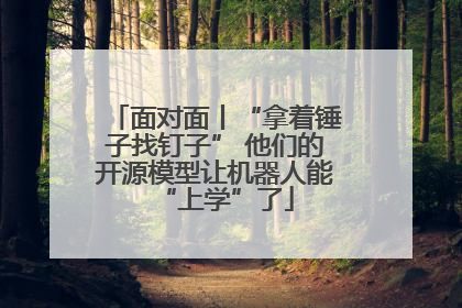 面对面丨“拿着锤子找钉子” 他们的开源模型让机器人能“上学”了