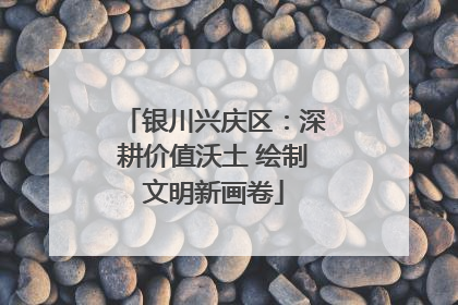 银川兴庆区：深耕价值沃土 绘制文明新画卷