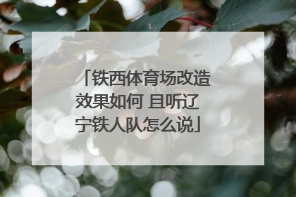铁西体育场改造效果如何 且听辽宁铁人队怎么说