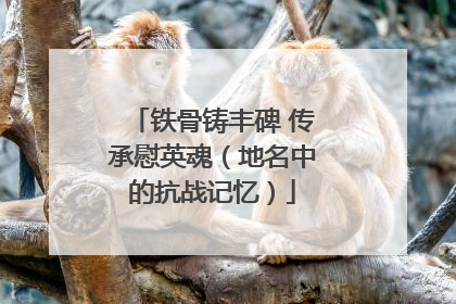 铁骨铸丰碑 传承慰英魂（地名中的抗战记忆）