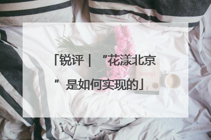锐评｜“花漾北京”是如何实现的