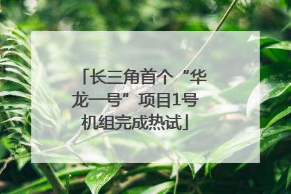 长三角首个“华龙一号”项目1号机组完成热试