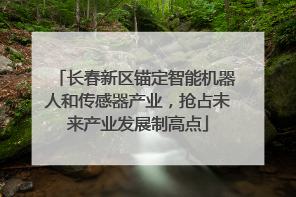 长春新区锚定智能机器人和传感器产业，抢占未来产业发展制高点