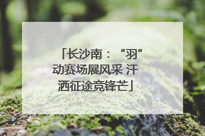 长沙南：“羽”动赛场展风采 汗洒征途竞锋芒