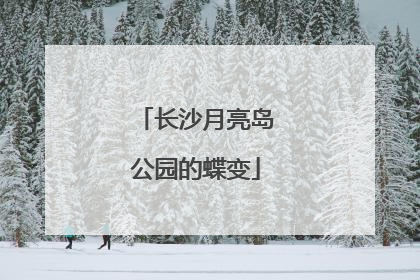 长沙月亮岛公园的蝶变