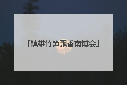 镇雄竹笋飘香南博会