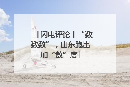闪电评论丨“数数数”，山东跑出加“数”度