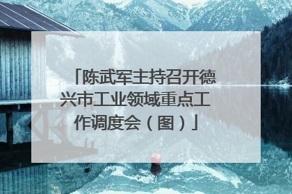 陈武军主持召开德兴市工业领域重点工作调度会（图）