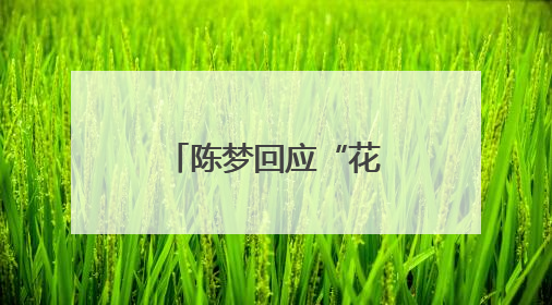 陈梦回应“花400亿买奥运会单打名额”