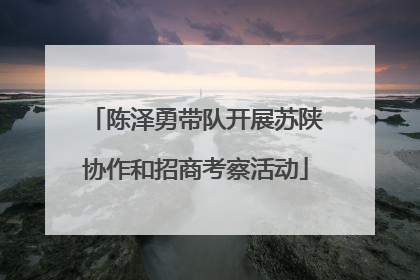 陈泽勇带队开展苏陕协作和招商考察活动