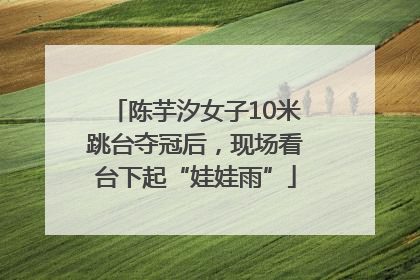 陈芋汐女子10米跳台夺冠后，现场看台下起“娃娃雨”