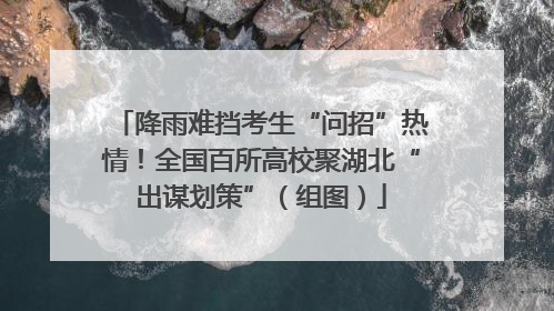 降雨难挡考生“问招”热情！全国百所高校聚湖北“出谋划策”（组图）