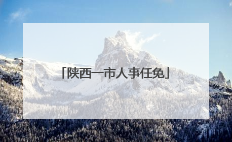 陕西一市人事任免