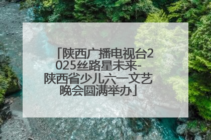 陕西广播电视台2025丝路星未来-陕西省少儿六一文艺晚会圆满举办