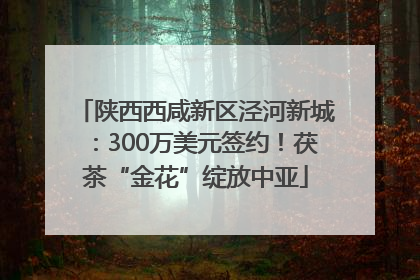 陕西西咸新区泾河新城：300万美元签约！茯茶“金花”绽放中亚