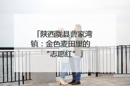 陕西陇县曹家湾镇：金色麦田里的“志愿红”