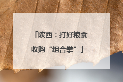 陕西：打好粮食收购“组合拳”