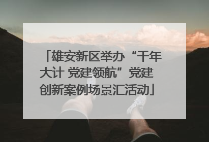 雄安新区举办“千年大计 党建领航”党建创新案例场景汇活动