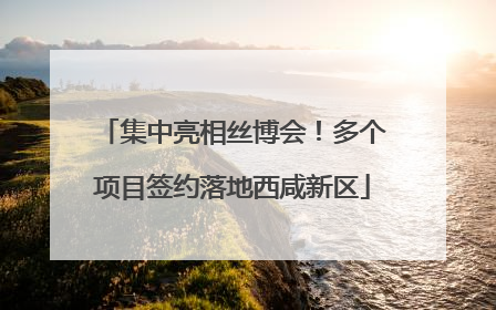 集中亮相丝博会！多个项目签约落地西咸新区