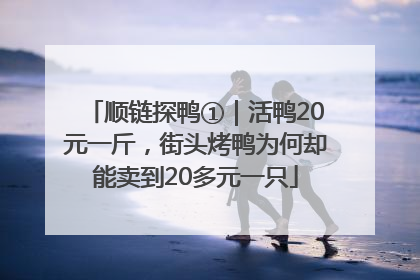 顺链探鸭①｜活鸭20元一斤，街头烤鸭为何却能卖到20多元一只