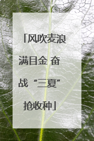 风吹麦浪满目金 奋战“三夏”抢收种