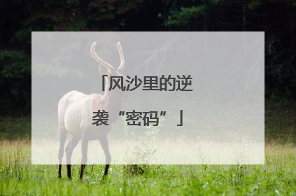 风沙里的逆袭“密码”