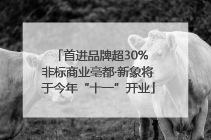 首进品牌超30% 非标商业亳都·新象将于今年“十一”开业