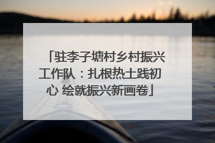 驻李子塘村乡村振兴工作队：扎根热土践初心 绘就振兴新画卷