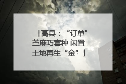 高县：“订单”苎麻巧套种 闲置土地再生“金”
