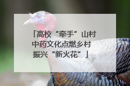高校“牵手”山村 中药文化点燃乡村振兴“新火花”