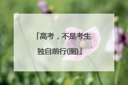 高考，不是考生独自前行(图)