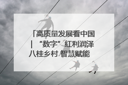 高质量发展看中国｜“数字”红利润泽八桂乡村 智慧赋能绘就振兴画卷