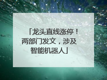 龙头直线涨停！两部门发文，涉及智能机器人